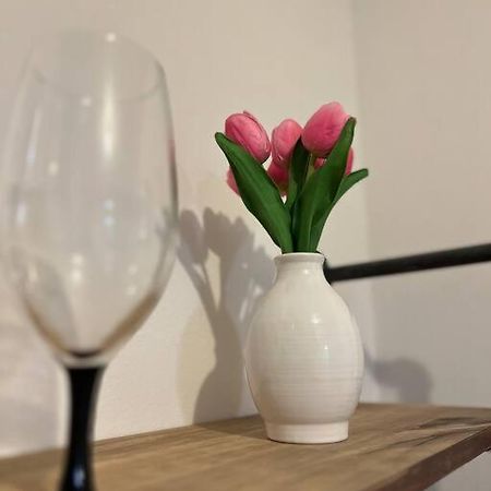 Playa Y Campo Studio Исабела Екстериор снимка